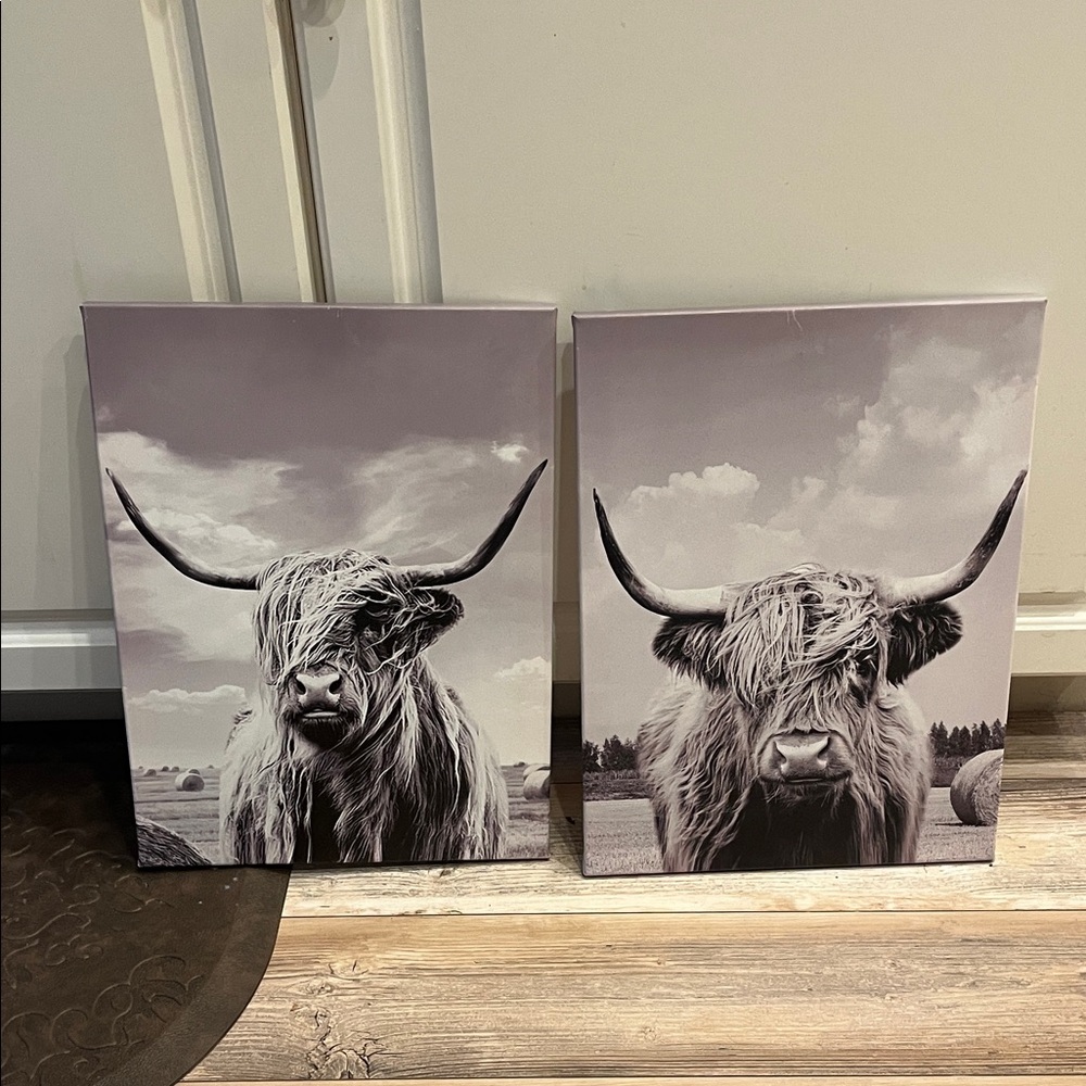 Highland Cow Canvas Wall Art Set of 2!